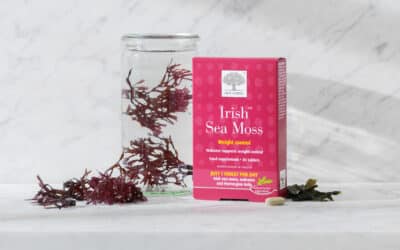 Irish Sea Moss: The Nutrient-Rich Superfood Taking the World by Storm